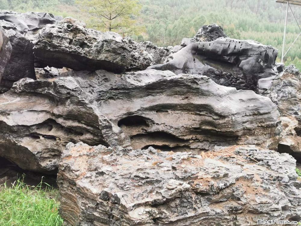 风景石、假山石大量有货，有需要的欢迎联系 - 新手上路 - 梧州生活社区 - 梧州28生活网 wuzhou.28life.com