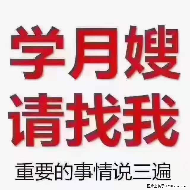 为什么要学习月嫂，育婴师？ - 其他广告 - 广告专区 - 梧州分类信息 - 梧州28生活网 wuzhou.28life.com