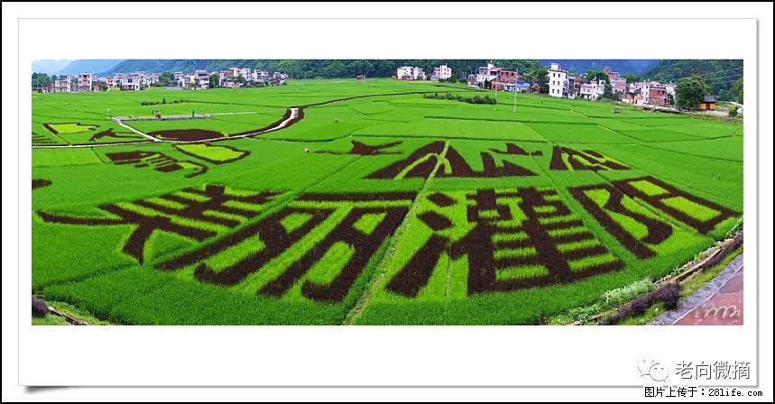 【春天,广西桂林灌阳县向您发出邀请!】开篇 - 游山玩水 - 梧州生活社区 - 梧州28生活网 wuzhou.28life.com