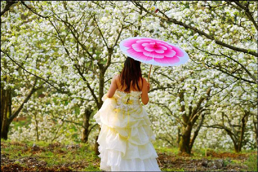 【春天,广西桂林灌阳县向您发出邀请!】我们在灌阳看梨花 - 游山玩水 - 梧州生活社区 - 梧州28生活网 wuzhou.28life.com