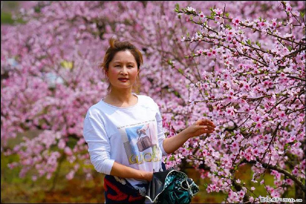 【春天,广西桂林灌阳县向您发出邀请!】官庄村有个醉美的桃花园 - 游山玩水 - 梧州生活社区 - 梧州28生活网 wuzhou.28life.com