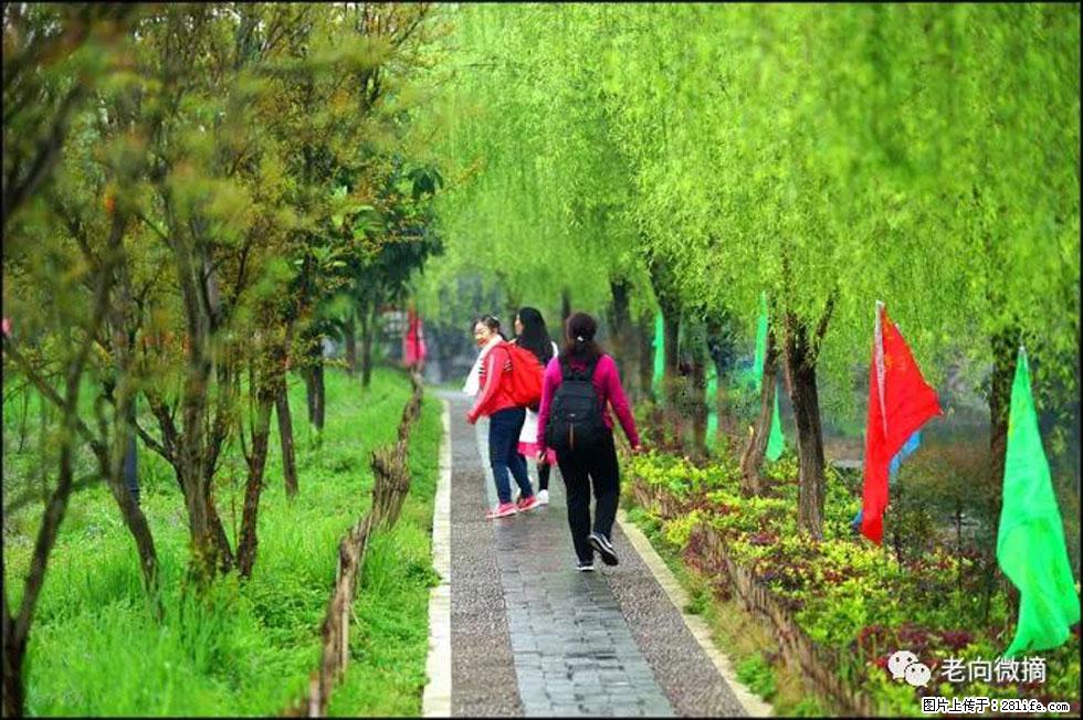 【春天,广西桂林灌阳县向您发出邀请!】江口老街又逢春 - 游山玩水 - 梧州生活社区 - 梧州28生活网 wuzhou.28life.com