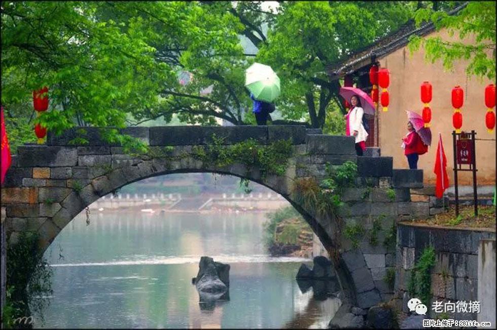 【春天,广西桂林灌阳县向您发出邀请!】江口老街又逢春 - 游山玩水 - 梧州生活社区 - 梧州28生活网 wuzhou.28life.com