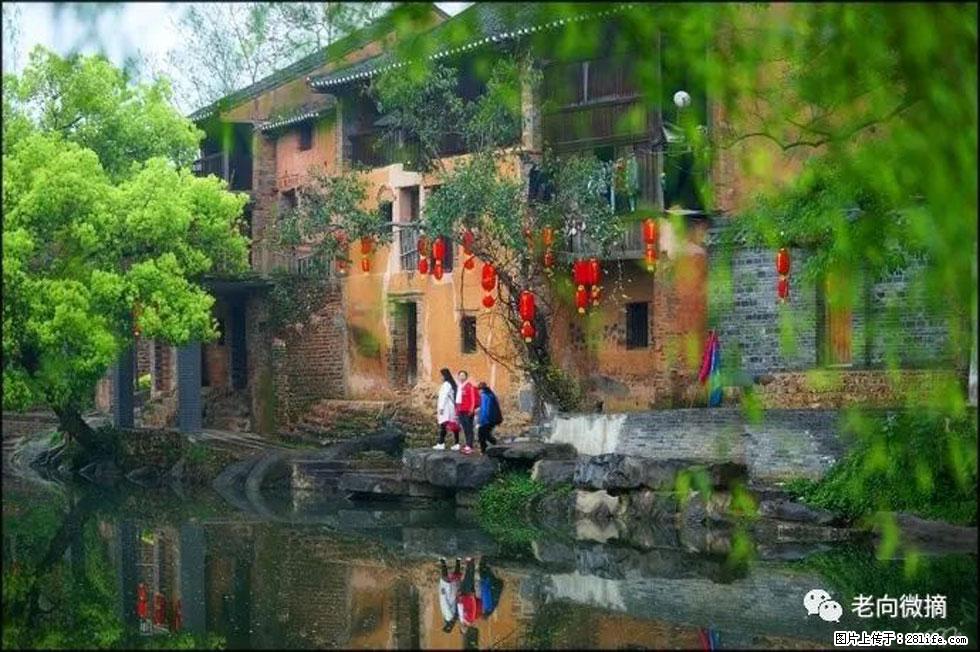 【春天,广西桂林灌阳县向您发出邀请!】江口老街又逢春 - 游山玩水 - 梧州生活社区 - 梧州28生活网 wuzhou.28life.com