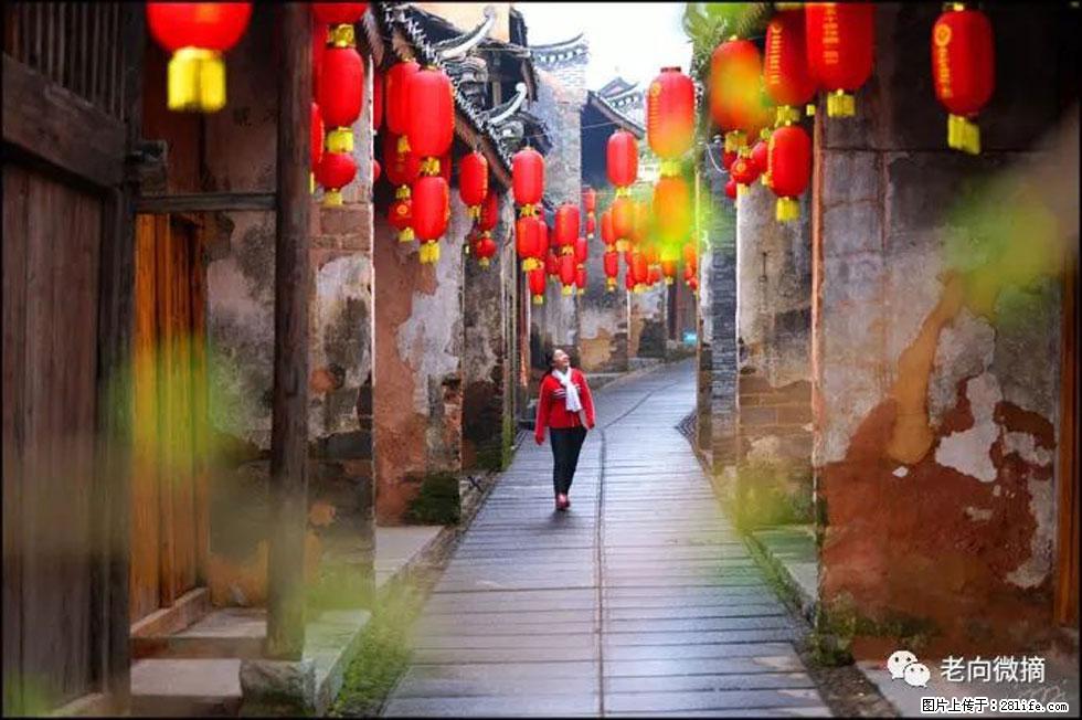 【春天,广西桂林灌阳县向您发出邀请!】江口老街又逢春 - 游山玩水 - 梧州生活社区 - 梧州28生活网 wuzhou.28life.com