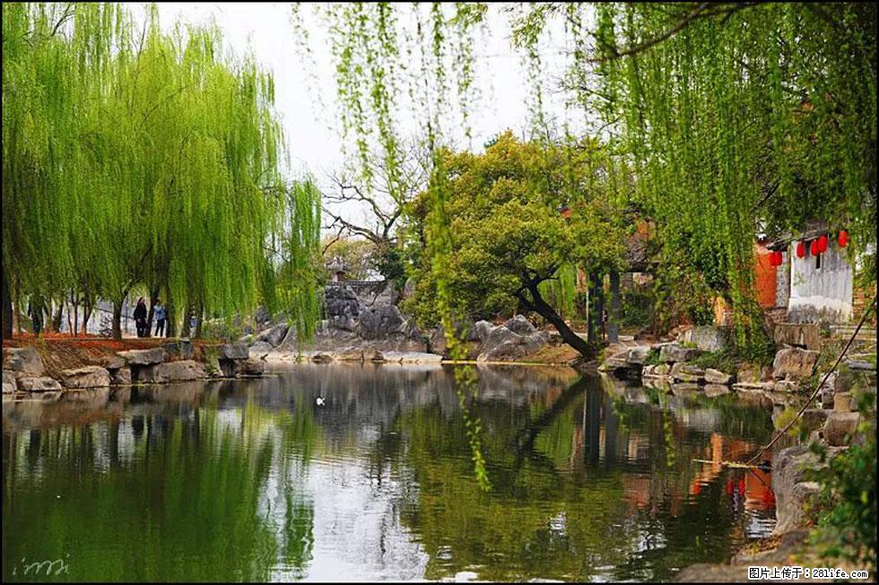 【春天,广西桂林灌阳县向您发出邀请!】江口老街又逢春 - 游山玩水 - 梧州生活社区 - 梧州28生活网 wuzhou.28life.com