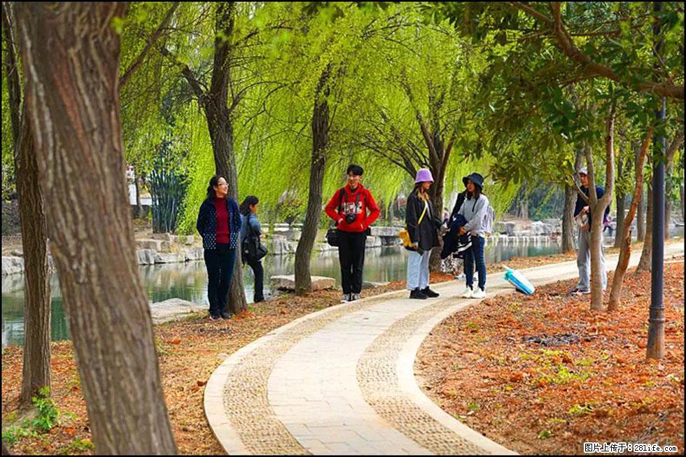 【春天,广西桂林灌阳县向您发出邀请!】江口老街又逢春 - 游山玩水 - 梧州生活社区 - 梧州28生活网 wuzhou.28life.com