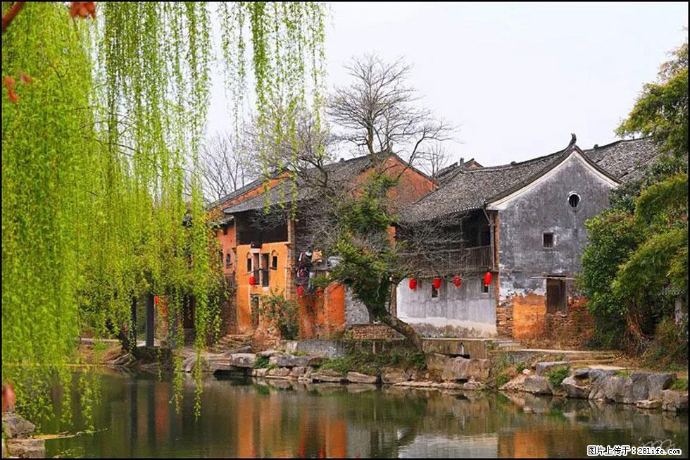 【春天,广西桂林灌阳县向您发出邀请!】江口老街又逢春 - 游山玩水 - 梧州生活社区 - 梧州28生活网 wuzhou.28life.com