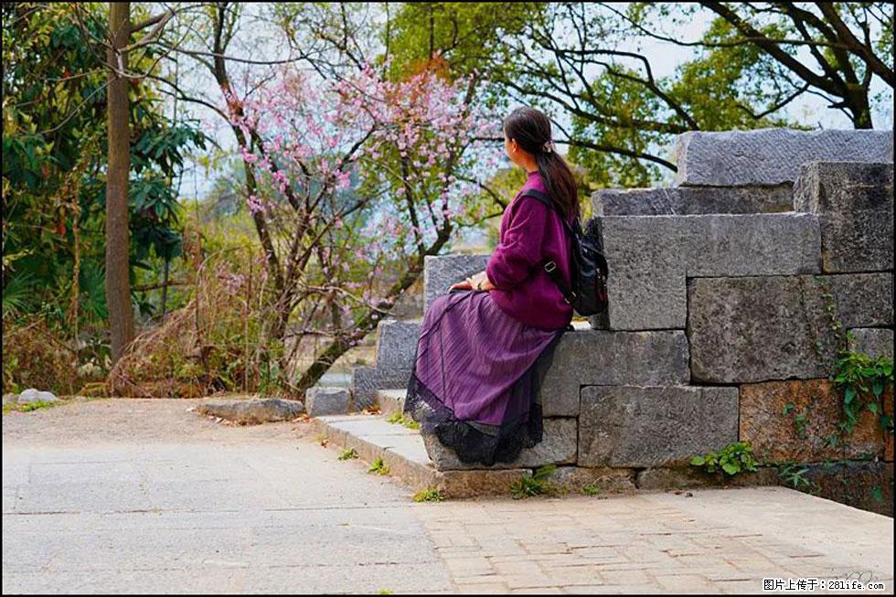 【春天,广西桂林灌阳县向您发出邀请!】江口老街又逢春 - 游山玩水 - 梧州生活社区 - 梧州28生活网 wuzhou.28life.com