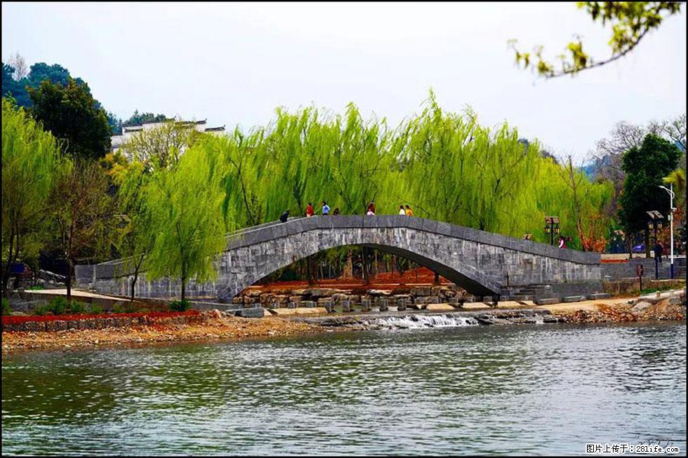 【春天,广西桂林灌阳县向您发出邀请!】江口老街又逢春 - 游山玩水 - 梧州生活社区 - 梧州28生活网 wuzhou.28life.com