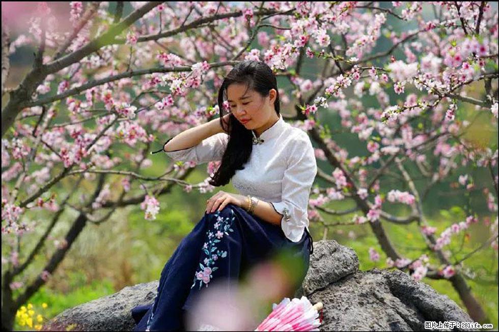 【春天,广西桂林灌阳县向您发出邀请!】望月岭上桃花开 - 游山玩水 - 梧州生活社区 - 梧州28生活网 wuzhou.28life.com