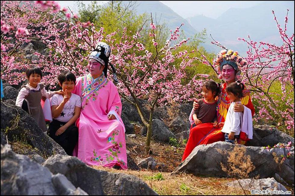 【春天,广西桂林灌阳县向您发出邀请!】望月岭上桃花开 - 游山玩水 - 梧州生活社区 - 梧州28生活网 wuzhou.28life.com