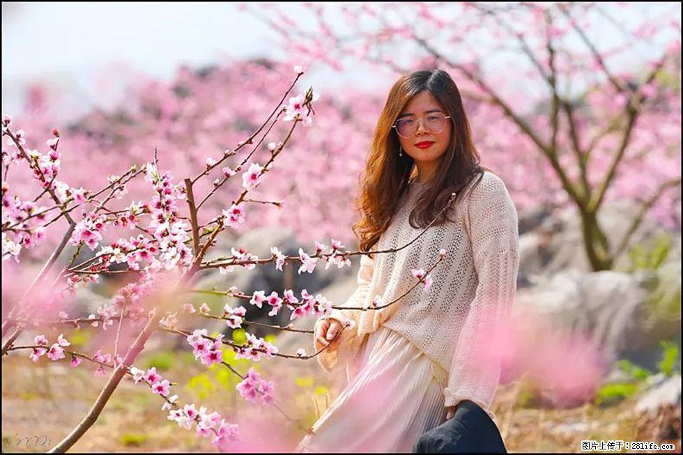 【春天,广西桂林灌阳县向您发出邀请!】望月岭上桃花开 - 游山玩水 - 梧州生活社区 - 梧州28生活网 wuzhou.28life.com