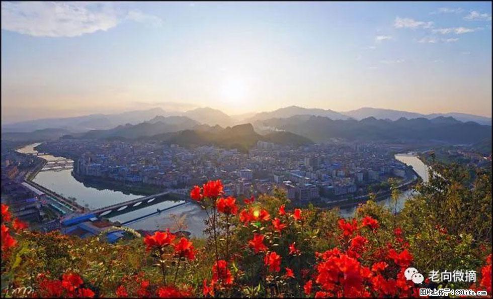 【春天,广西桂林灌阳县向您发出邀请!】登麒麟山,相约映山红 - 游山玩水 - 梧州生活社区 - 梧州28生活网 wuzhou.28life.com