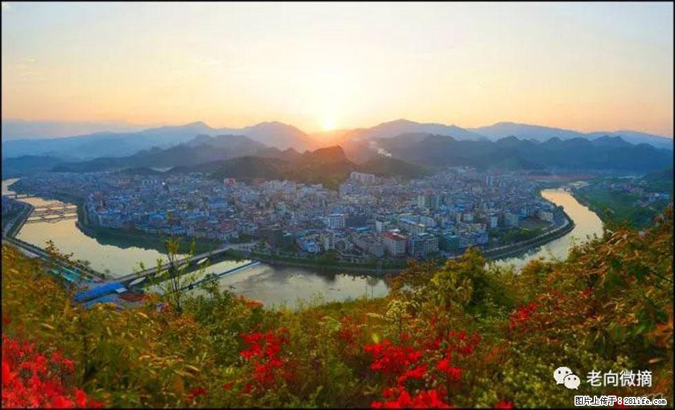 【春天,广西桂林灌阳县向您发出邀请!】登麒麟山,相约映山红 - 游山玩水 - 梧州生活社区 - 梧州28生活网 wuzhou.28life.com