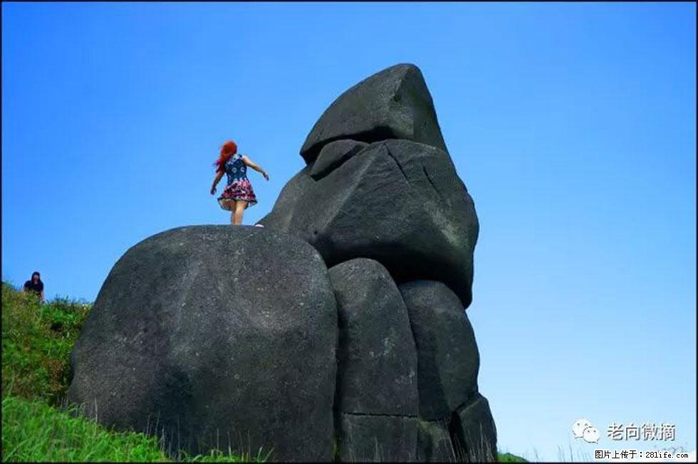 【春天,广西桂林灌阳县向您发出邀请!】宝盖山上映山红 - 游山玩水 - 梧州生活社区 - 梧州28生活网 wuzhou.28life.com