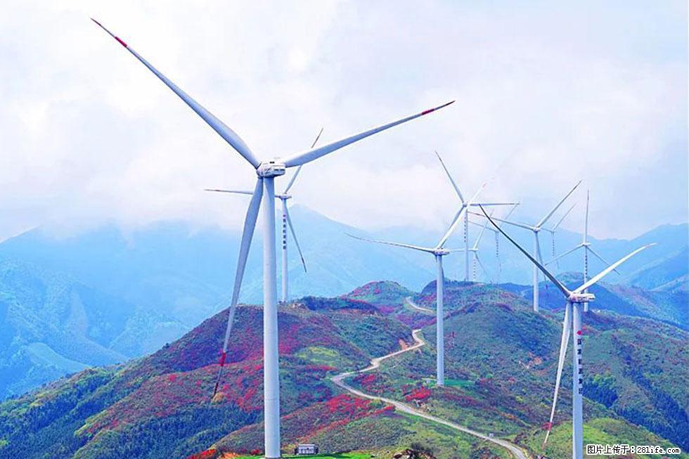 【春天,广西桂林灌阳县向您发出邀请!】春木界上映山红 - 游山玩水 - 梧州生活社区 - 梧州28生活网 wuzhou.28life.com