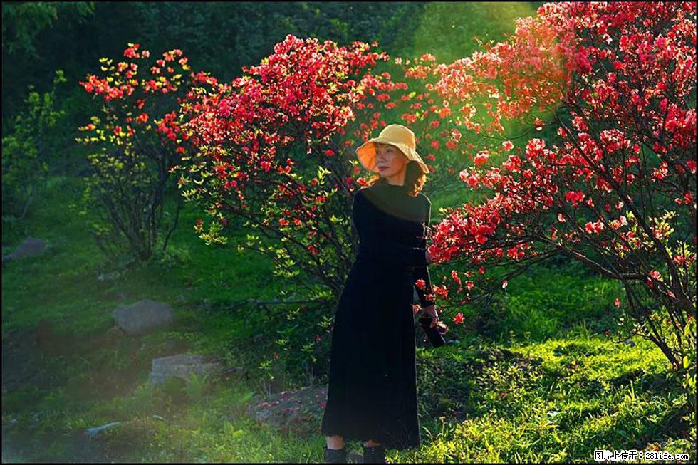 【春天,广西桂林灌阳县向您发出邀请!】春木界上映山红 - 游山玩水 - 梧州生活社区 - 梧州28生活网 wuzhou.28life.com