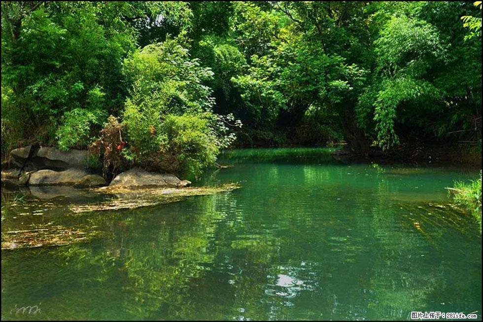 【春天,广西桂林灌阳县向您发出邀请!】如梦似幻莲溪庐 - 游山玩水 - 梧州生活社区 - 梧州28生活网 wuzhou.28life.com