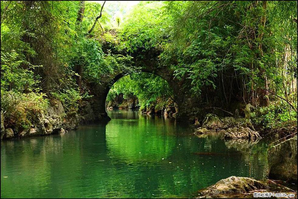 【春天,广西桂林灌阳县向您发出邀请!】如梦似幻莲溪庐 - 游山玩水 - 梧州生活社区 - 梧州28生活网 wuzhou.28life.com