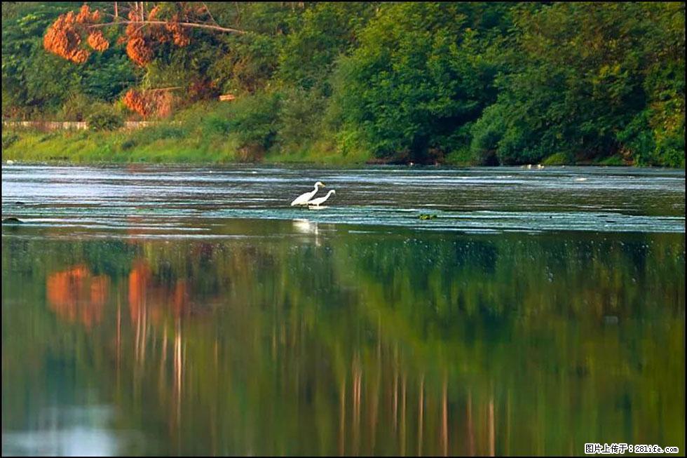 【春天,广西桂林灌阳县向您发出邀请!】熊家寨湿地公园 - 游山玩水 - 梧州生活社区 - 梧州28生活网 wuzhou.28life.com