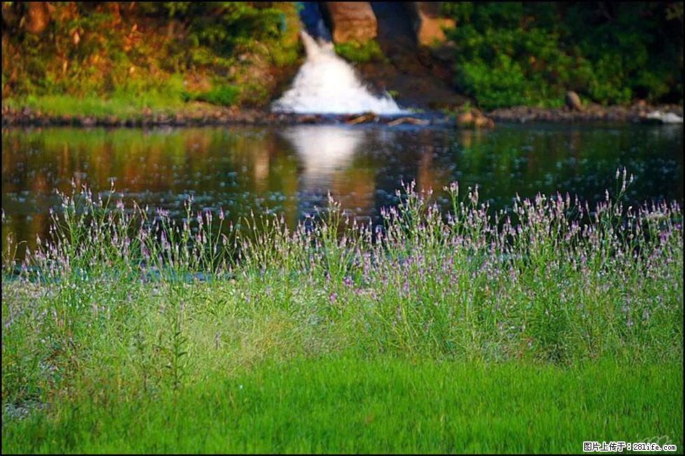 【春天,广西桂林灌阳县向您发出邀请!】熊家寨湿地公园 - 游山玩水 - 梧州生活社区 - 梧州28生活网 wuzhou.28life.com