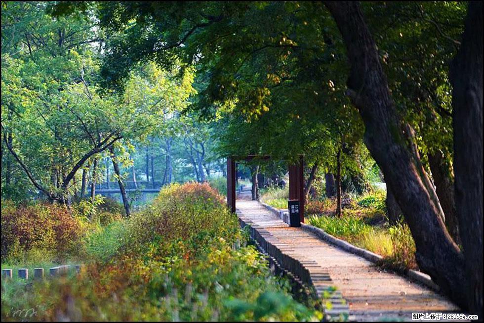 【春天,广西桂林灌阳县向您发出邀请!】熊家寨湿地公园 - 游山玩水 - 梧州生活社区 - 梧州28生活网 wuzhou.28life.com