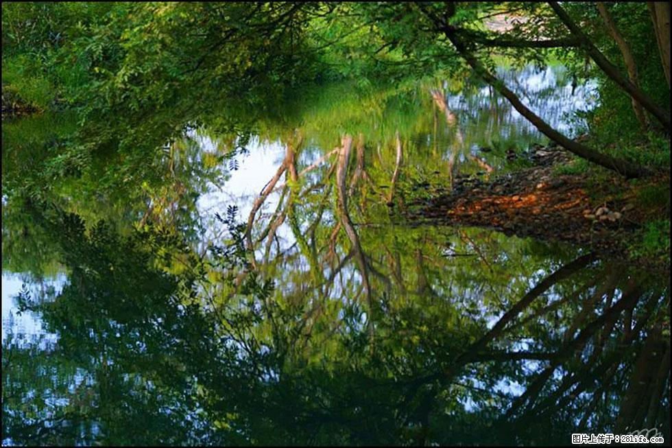 【春天,广西桂林灌阳县向您发出邀请!】熊家寨湿地公园 - 游山玩水 - 梧州生活社区 - 梧州28生活网 wuzhou.28life.com