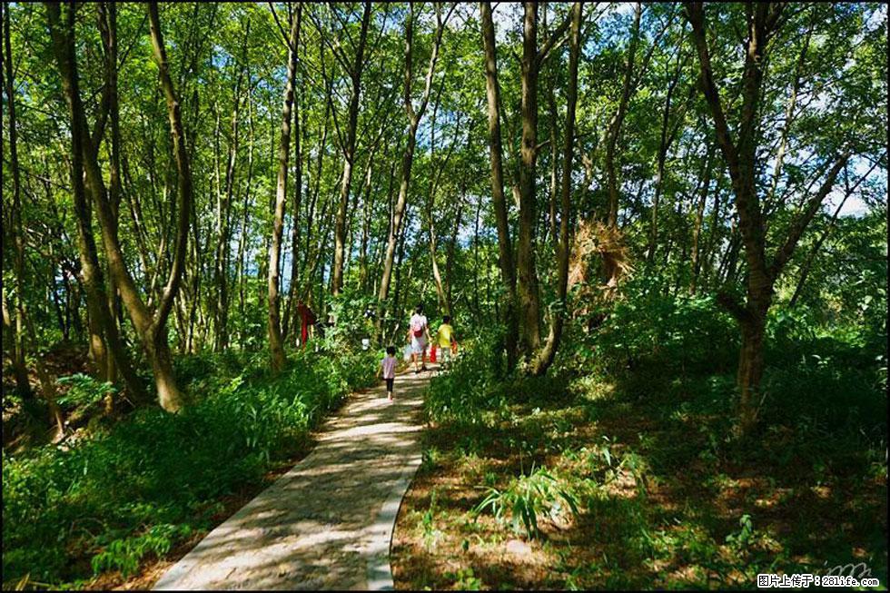 【春天,广西桂林灌阳县向您发出邀请!】熊家寨湿地公园 - 游山玩水 - 梧州生活社区 - 梧州28生活网 wuzhou.28life.com