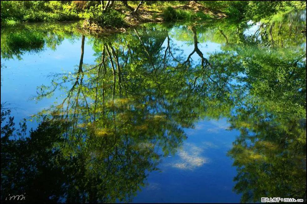 【春天,广西桂林灌阳县向您发出邀请!】熊家寨湿地公园 - 游山玩水 - 梧州生活社区 - 梧州28生活网 wuzhou.28life.com