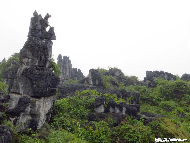 桂林旅游名城景点：灌阳文市石林 - 游山玩水 - 梧州生活社区 - 梧州28生活网 wuzhou.28life.com