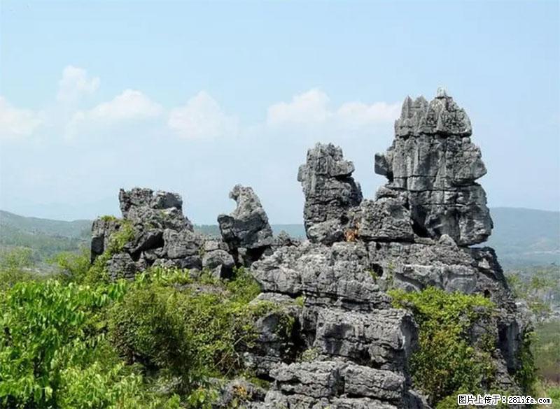 桂林旅游名城景点：灌阳文市石林 - 游山玩水 - 梧州生活社区 - 梧州28生活网 wuzhou.28life.com