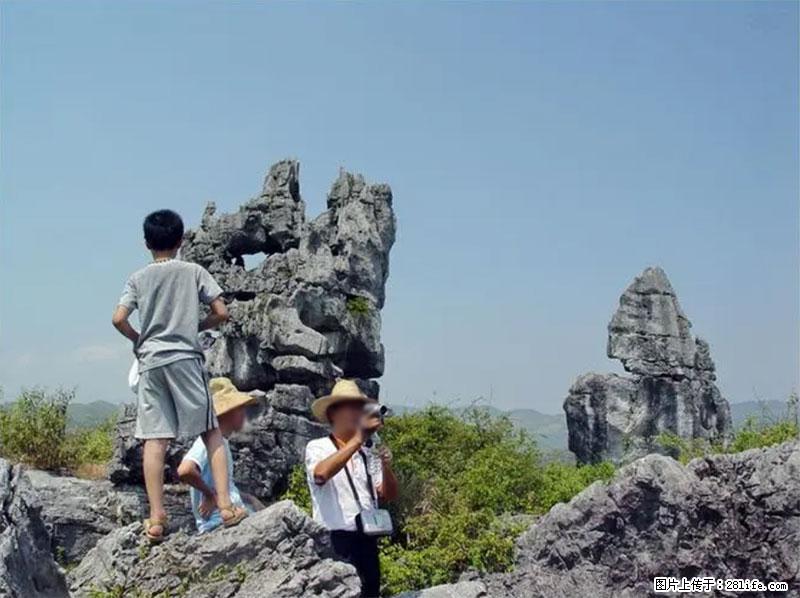 桂林旅游名城景点：灌阳文市石林 - 游山玩水 - 梧州生活社区 - 梧州28生活网 wuzhou.28life.com