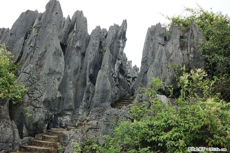 桂林旅游名城景点：灌阳文市石林 - 游山玩水 - 梧州生活社区 - 梧州28生活网 wuzhou.28life.com