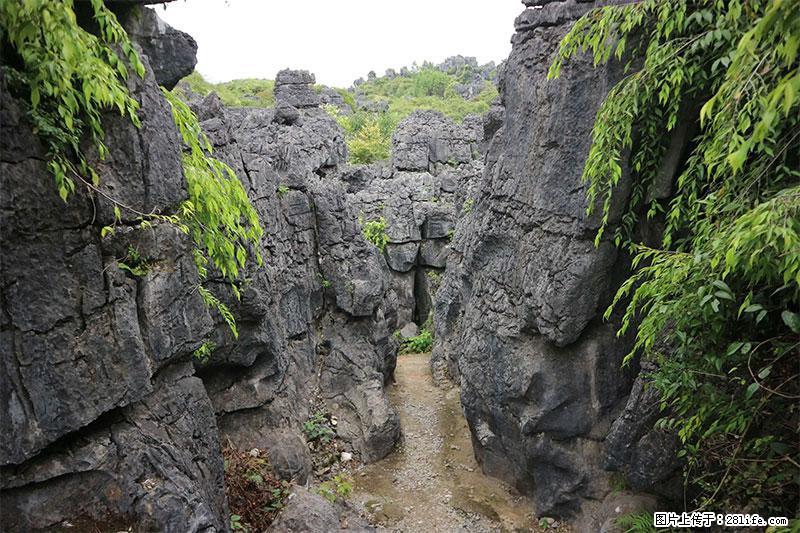 桂林旅游名城景点：灌阳文市石林 - 游山玩水 - 梧州生活社区 - 梧州28生活网 wuzhou.28life.com