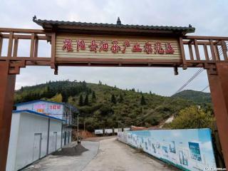 【灌阳县油茶产业示范区】一个有着充实的精神生活的人，对待身外之物自会有一种淡泊的态度 - 梧州28生活网 wuzhou.28life.com