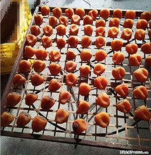 广西桂林平乐桥亭【柿饼之乡】2025年纯手工制作、无任何添加剂的第一批柿饼准备上市了，欢迎联系订购！ - 梧州28生活网 wuzhou.28life.com