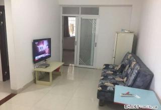 蝶山 紫荆花园 1室 1厅 50平米 - 梧州28生活网 wuzhou.28life.com