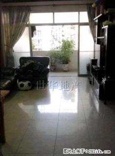 太阳广场附近，交通方便，环境优美 - 梧州28生活网 wuzhou.28life.com