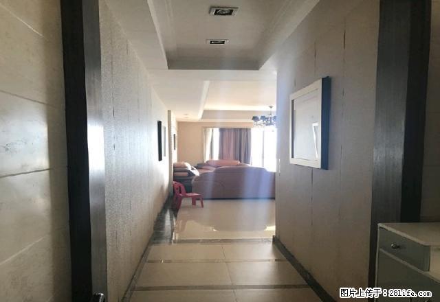 光景房、精装修、拎包入住 - 房屋出租 - 房屋租售 - 梧州分类信息 - 梧州28生活网 wuzhou.28life.com