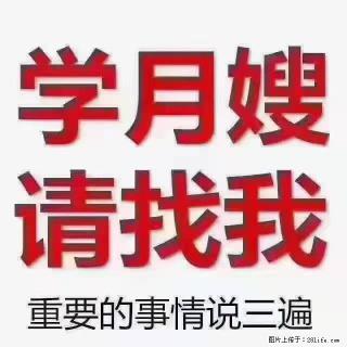 【招聘】月嫂，上海徐汇区 - 梧州28生活网 wuzhou.28life.com