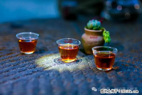 时间果百年古树2025年春红茶 - 购物交流 - 梧州生活社区 - 梧州28生活网 wuzhou.28life.com