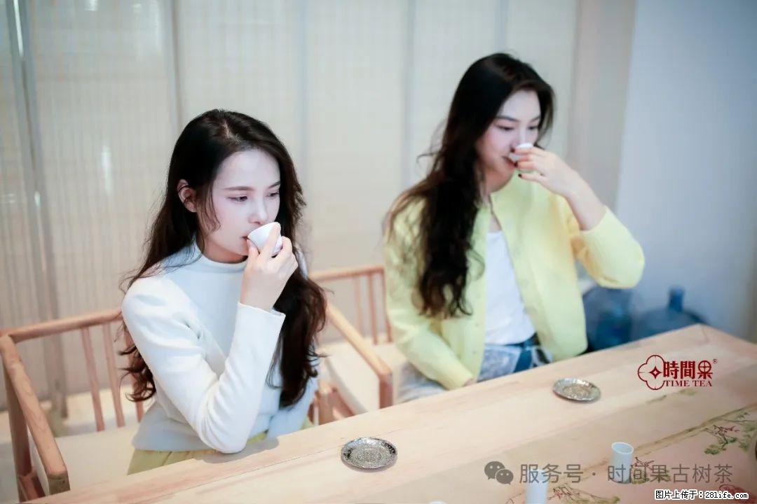 时间果百年古树龙珠普洱生茶 - 购物交流 - 梧州生活社区 - 梧州28生活网 wuzhou.28life.com