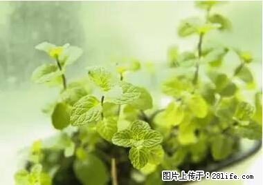 晕车、脚气、牙齿变黄、皮肤粗糙?学会这些三分钟搞定! - 梧州生活资讯 - 梧州28生活网 wuzhou.28life.com