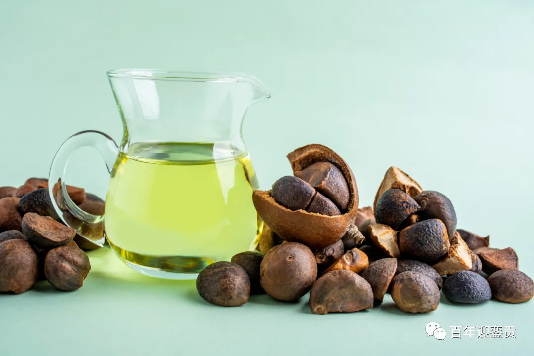 世界没有真相,只有认知,最好的食用油是中国的山茶油! - 梧州生活资讯 - 梧州28生活网 wuzhou.28life.com