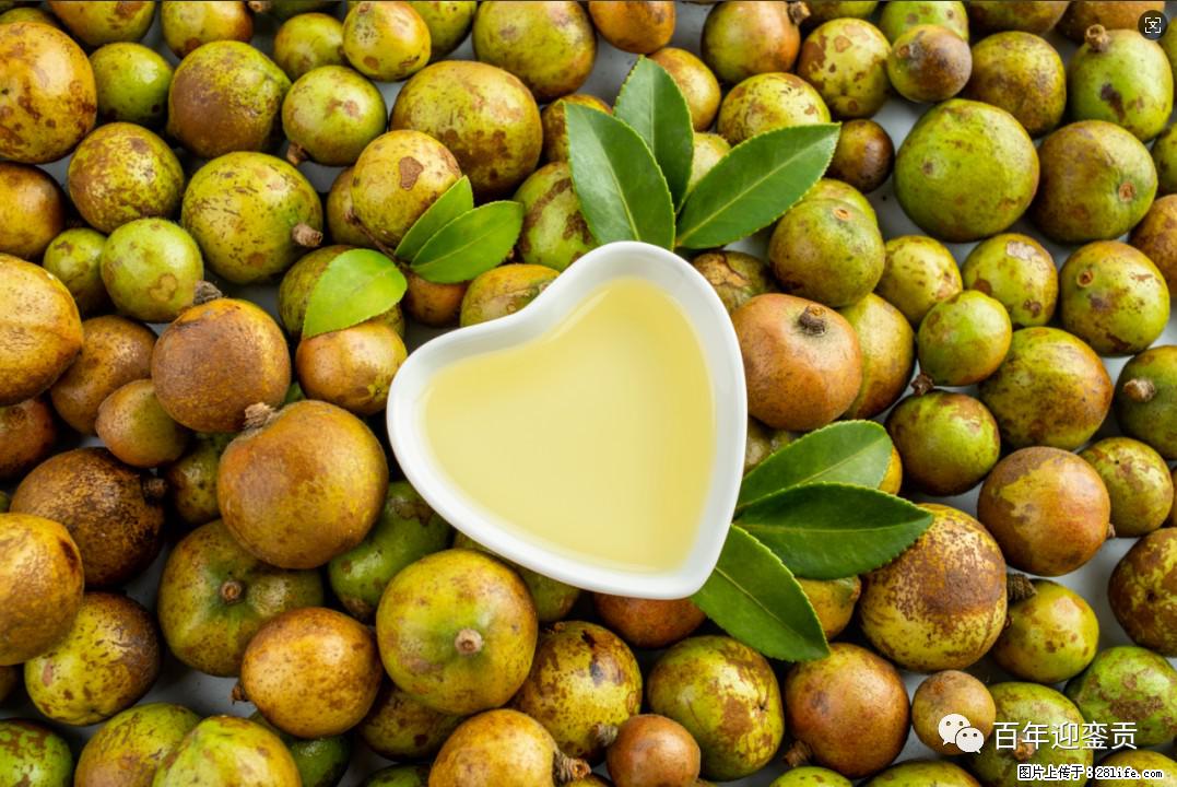 世界没有真相,只有认知,最好的食用油是中国的山茶油! - 梧州生活资讯 - 梧州28生活网 wuzhou.28life.com