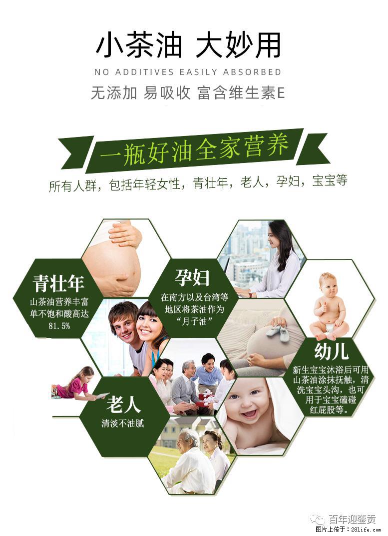 世界没有真相,只有认知,最好的食用油是中国的山茶油! - 梧州生活资讯 - 梧州28生活网 wuzhou.28life.com