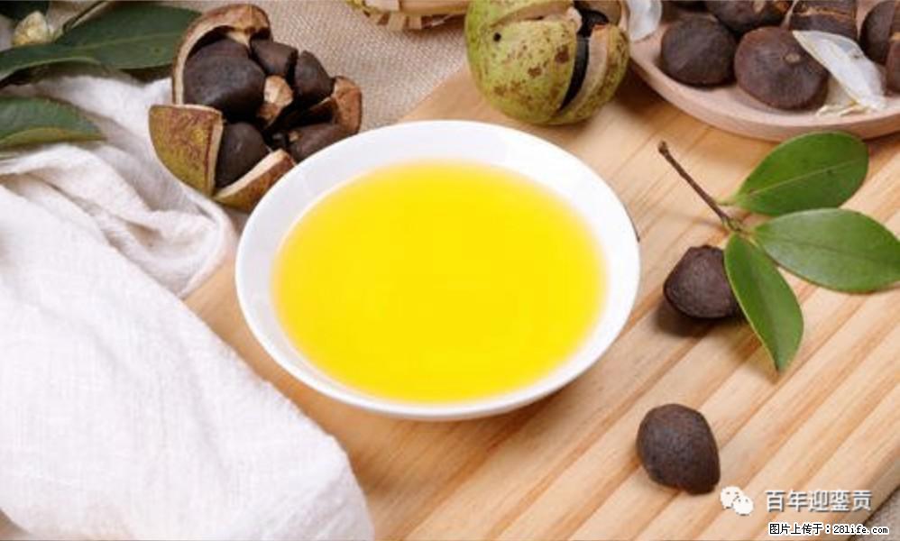 世界没有真相,只有认知,最好的食用油是中国的山茶油! - 梧州生活资讯 - 梧州28生活网 wuzhou.28life.com