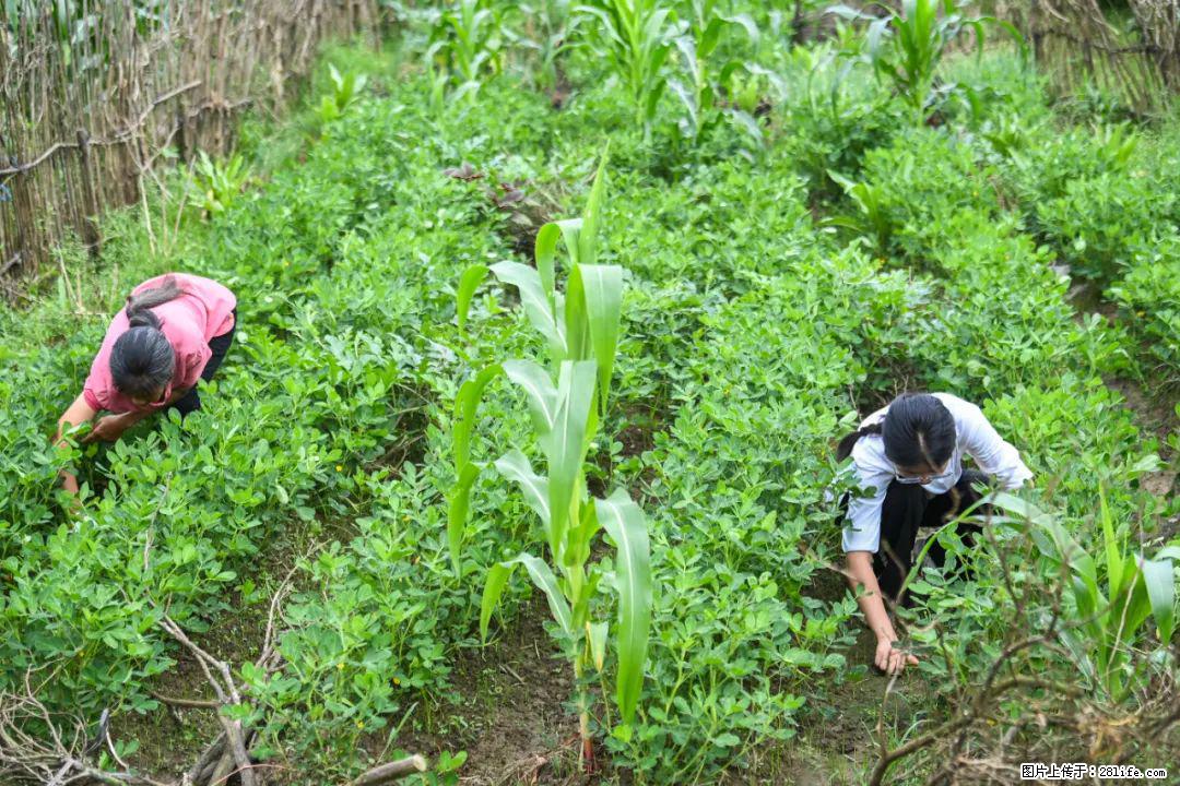 全网追的“扁担女孩”,找了一份暑假工,时薪12元 - 梧州生活资讯 - 梧州28生活网 wuzhou.28life.com