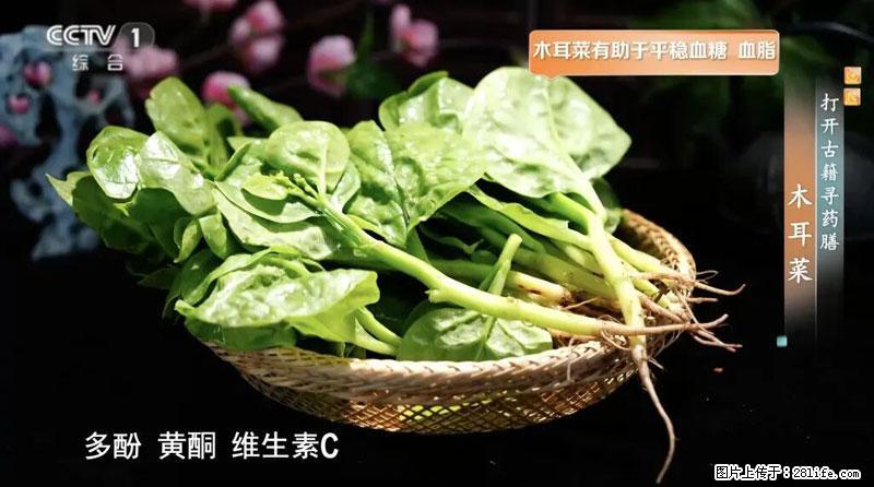 比牛奶补钙还厉害!凉血解毒、稳血糖...这菜冬天必吃,很多人却当草 - 梧州生活资讯 - 梧州28生活网 wuzhou.28life.com